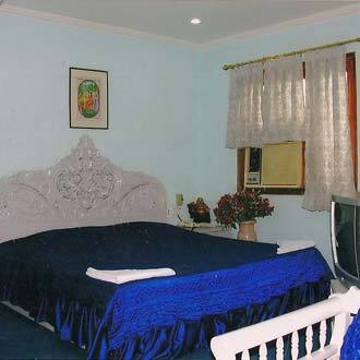 Hotel Le Heritage, New Delhi 4